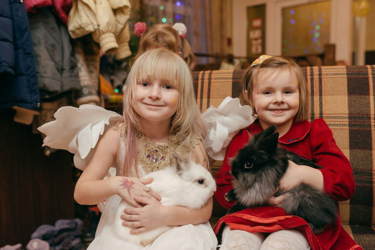 Unique childrens parties with a petting zoo